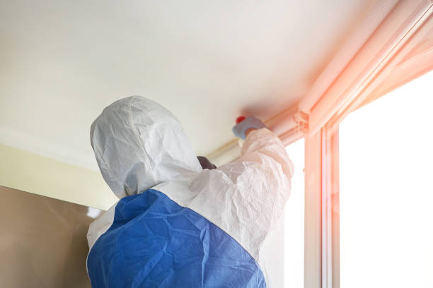 Environmental Consulting for Mold Prevention